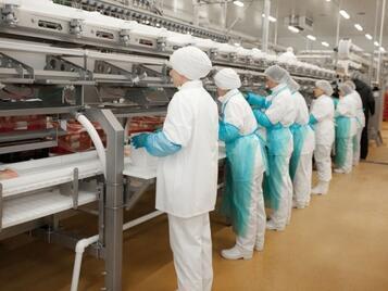 Avicola Crevedia Sells Factories, Farms and Headquarters