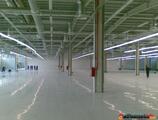 Warehouses to let in Industrial Park Brasov (IPB)