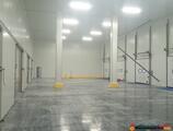 Warehouses to let in Depozit frigorific Timisoara