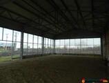 Warehouses to let in Hala industriala Satu Mare