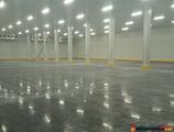 Warehouses to let in Depozit frigorific Timisoara