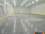 Warehouses to let in Depozit frigorific Timisoara