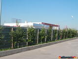 Warehouses to let in Centrul Logistic Olympia