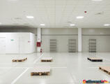 Warehouses to let in Logistic Park Constanta