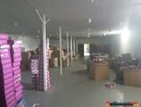 Warehouses to let in Depozit Afumati-Petrachioaia