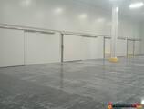 Warehouses to let in Depozit frigorific Timisoara
