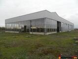 Warehouses to let in Hala industriala Satu Mare