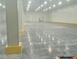 Warehouses to let in Depozit frigorific Timisoara