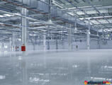 Warehouses to let in Industrial Park Brasov (IPB)