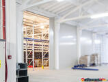 Warehouses to let in Logistic Park Constanta