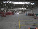 Warehouses to let in Warehouse for rent Ploiesti Industrial Park