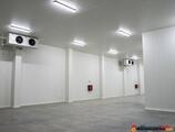 Warehouses to let in DEPOZIT REFRIGERATE  SI CONGELATE BACAU