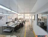 Warehouses to let in Production warehouse in Apaca, Bucharest
