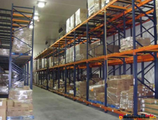 Warehouses to let in Warehouse Tauros Chiajna