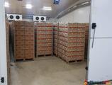 Warehouses to let in Warehouse Eurobananas Popesti -Leordeni