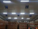 Warehouses to let in Warehouse Eurobananas Popesti -Leordeni