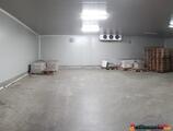 Warehouses to let in Warehouse Targu Mures for sale