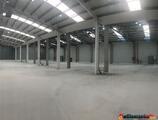 Warehouses to let in EURO PARK