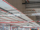 Warehouses to let in CTPark Timisoara
