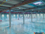 Warehouses to let in Timisoara Industrial Park I&II