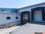 Warehouses to let in Depozit Frigorific Mures