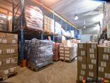 Warehouses to let in Depozit Frigorific Mures