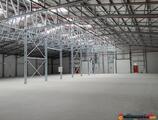Warehouses to let in Crevedia Logistic Park