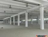 Warehouses to let in Ecom centrul logistic srl