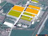 Warehouses to let in Cold warehouse Tragu Mures