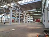 Warehouses to let in Oferta! Proprietate 5200mp hale cu 3,1 ha teren intravilan, Miercurea Sibiului