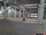 Warehouses to let in Oferta! Proprietate 5200mp hale cu 3,1 ha teren intravilan, Miercurea Sibiului