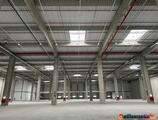 Warehouses to let in CTPark Bucharest North