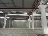 Warehouses to let in CTPark Craiova