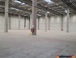 Warehouses to let in CTPark Timisoara Ghiroda