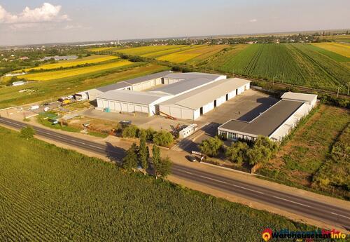 Warehouses to let in Tecuci  Warehouse