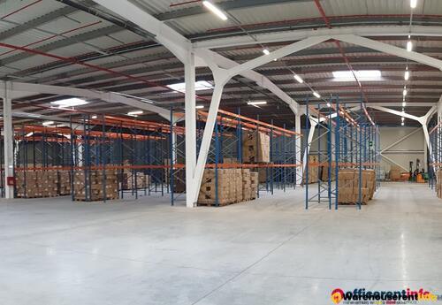 Warehouses to let in Warehouse in Targu Mures