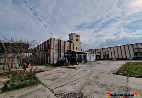 Warehouses to let in Cold warehouse Slobozia